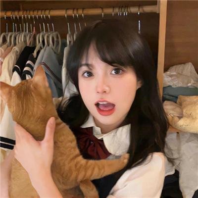 阿玛迪斯